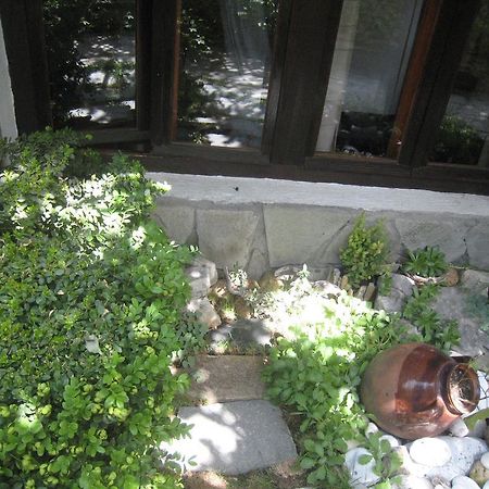 Guest House Voyno Dobriniște Exterior foto