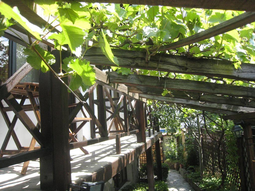 Guest House Voyno Dobriniște Cameră foto