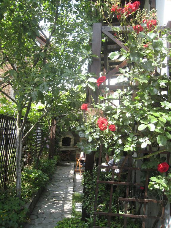 Guest House Voyno Dobriniște Exterior foto